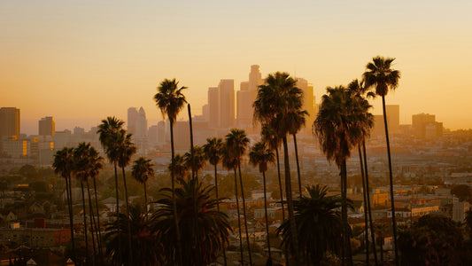 Los Angeles Coloring Books: The Best LA-Themed Coloring Books - Local Color Shop